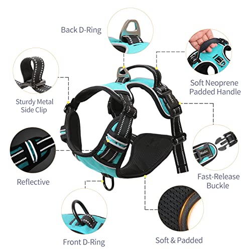 HEELE Dog Harness Dog Harness Small Dog No Pull Harness wiht Soft Handle Reflective Harness Adjustable, Turquoise, XS - color: Turquoise, size: XS