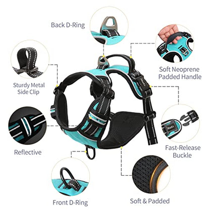 HEELE Dog Harness Dog Harness Small Dog No Pull Harness wiht Soft Handle Reflective Harness Adjustable, Turquoise, XS - color: Turquoise, size: XS