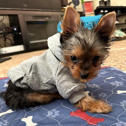 Jecikelon Winter Dog Hoodie Sweatshirts with Pockets Warm Dog Clothes for Small Dogs Chihuahua Coat Clothing Puppy Cat Custume (Grey, X-Small) - color: Grey, size: X-Small