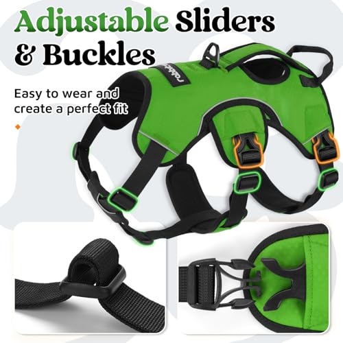 rabbitgoo Escape Proof Dog Harness, Soft Padded Full Body Pet Harness, Reflective Adjustable No Pull Vest with Lift Handle and Lesh Clip for Large Dogs Walking Hiking Training, M, Green - color: Green, size: Medium (Pack of 1)