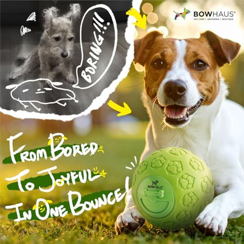 BOWHAUS Giggle Ball for Dogs, 5.5 Inch Interactive Treat Dispensing Ball, Indestructible Fun Squeaky Dog Chew Exercise Toy, Non-Toxic Durable PVC Wobble Giggle Toy for Indoor Outdoor Play - style: Treat Ball - Classic Style