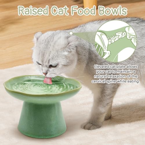 VCEPJH Raised Cat Food Bowls Shallow Cat Plate Ceramic Elevated Cats Dish 6.1in Flat Anti Whisker Fatigue Wide Pet Food & Water Feeder for Indoor Kitty Kitten (Green) - color: green