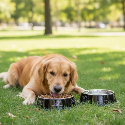 Stainless Steel Dog Bowl Pack of 2, Food & Water Bowl for Dogs, Durable Dog Feeding Bowl, Bowls for Small Dogs, Easy to Clean, Anti-Skid Pet Bowl - 16 oz (Black) - color: Black