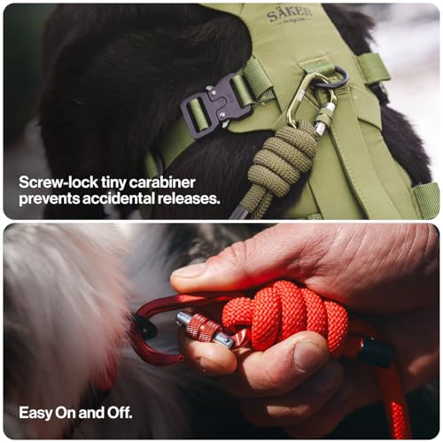 Säker Trust™ Rope Dog Leash – 61” Climbing Rope Lead with 7075 Aluminum Carabiner, Waterproof & Reflective Training Gear for Dogs, Built for Trail Running, Hiking, Everyday Use – Black - color: Black