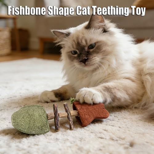 3PCS Creative Fish Bone Cat Toy, Cat Teeth Cleaning Toy, Wooden Catnip Teeth Cleaning Stick, Caring for Your Cat's Teeth and Maintaining Oral Health (3-Piece Set - Mixed Flavors)
