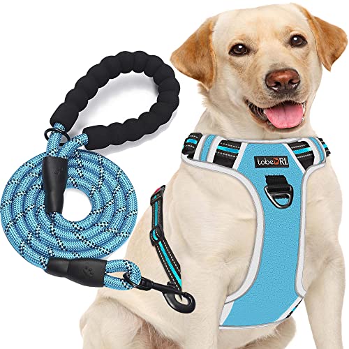 tobeDRI No Pull Dog Harness Adjustable Reflective Oxford Easy Control Medium Large Dog Harness with A Free Heavy Duty 5ft Dog Leash - color: Blue/Grey Harness+Leash, size: Medium