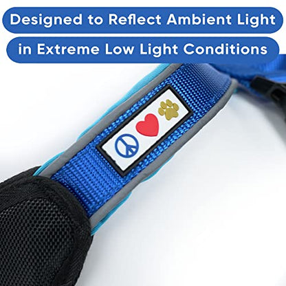 Pawtitas Reflective Padded Dog Harness for Small Dogs – Adjustable Puppy Step-in Vest | Fits Chest 18–22 in | No Pull Personalized Training Harness | S | Blue - color: Blue, size: Personalized Small (Pack of 1)