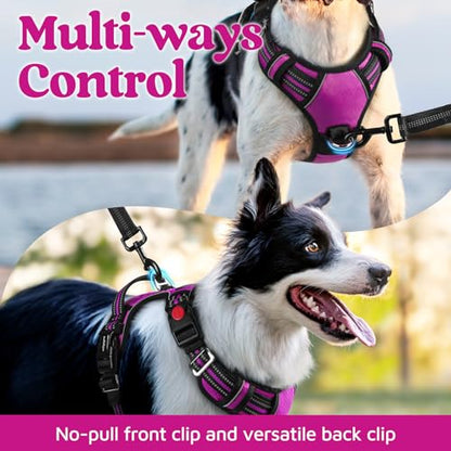rabbitgoo Dog Harness Small Sized, No Pull Dog Vest with 3 Buckles, Adjustable Soft Padded Pet Harness with Easy Control Handle and Reflective Strips, Purple, S - color: Purple, size: Small