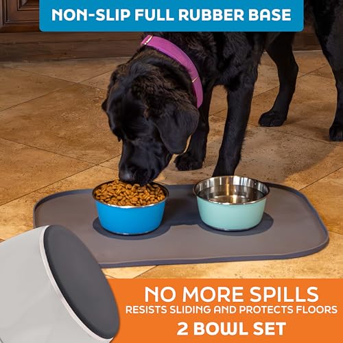 Master Pet Supply Stainless Steel Dog Bowls Set of 2 (32 Oz Each) with Non-Slip Rubber Base - Bone White - Basic Dog Food Bowl Water & Food Bowls for Small Medium Large Dogs & Cats, Metal Dish - color: Bone White, size: 4 Cups (32 oz) 2 Pack