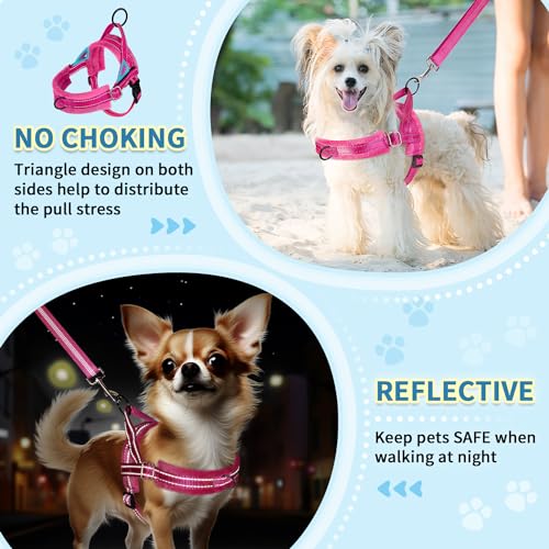 SlowTon No Pull Small Dog Harness and Leash Set, Puppy Soft Vest Harness Neck & Chest Adjustable, Reflective Lightweight Harness & Anti-Twist Pet Lead Combo for Small Medium Dogs (Fuchsia, S) - color: A-Fuchsia - With Front Clip, size: Small
