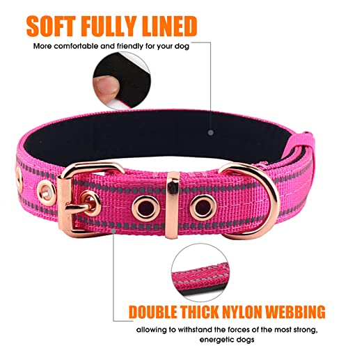 Neoprene Padded Dog Collar, Nylon Collar for Small to Large Dogs, Heavy Duty with Metal Buckle, Reflective(Medium, Pink) - color: Pink, size: Medium (Pack of 1)