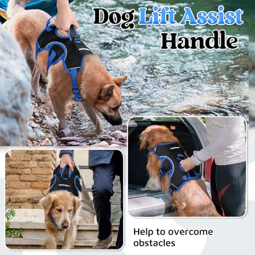 rabbitgoo Escape Proof Dog Harness Large Dogs, Soft Padded Full Body Pet Harness, Reflective Adjustable No Pull Vest with Lift Handle and Leash Clip for Walking Hiking Training, Blue & Black, M - color: Blue & Black, size: Medium (Pack of 1)