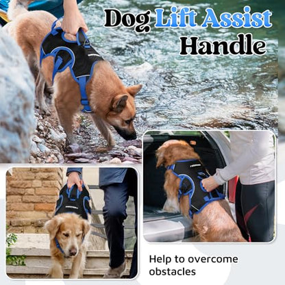 rabbitgoo Escape Proof Dog Harness Large Dogs, Soft Padded Full Body Pet Harness, Reflective Adjustable No Pull Vest with Lift Handle and Leash Clip for Walking Hiking Training, Blue & Black, M - color: Blue & Black, size: Medium (Pack of 1)