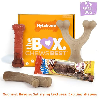 Nylabone Dog Gift Box, Includes 3 Strong Chew Toys and 1 Natural Treat, Gifts for Dogs, Small - Up to 25 lbs, 4 Pack - size: Small (4 Count)