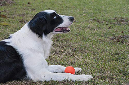 GaesQae Hard Rubber Balls for Dogs,Dog's Solid Rubber Bouncy Ball Bite Resistant and Indestructible Dog Training Ball,Dog Balls for Aggressive Chewers