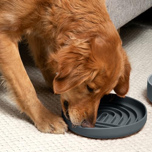 Should We Go? Slow Feeder for Dogs & Puppies, The Slowdown Bowl Silicone Slow Eating, Modern Lick Mat Design, Reduces Gulping, Fits 2.5 Cups 9.5” Across x 1.5” Tall, Mealtime Challenge, Large-Charcoal - color: Charcoal - Rainbow Design, size: Large (9.5”