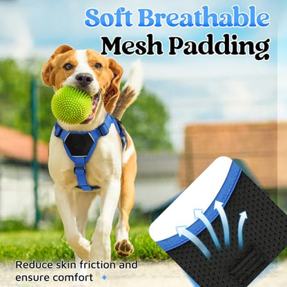 rabbitgoo Escape Proof Dog Harness Large Dogs, Soft Padded Full Body Pet Harness, Reflective Adjustable No Pull Vest with Lift Handle and Leash Clip for Walking Hiking Training, Blue & Black, S - color: Blue & Black, size: Small (Pack of 1)