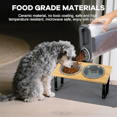 LEAWALK Upgraded Adjustable Height Cat Food Bowls Stand Ceramic Dog Bowls and Slow Feeder Cat Bowl, 15°Tilted Stand Anti Vomiting Raised for Small and Medium Sized Cats Dogs (Grey (2 Bowl+Pet mat)) - color: Grey ( 2 Bowl+Pet mat)