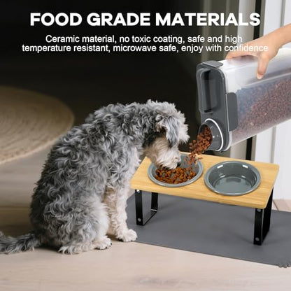 LEAWALK Upgraded Adjustable Height Cat Food Bowls Stand Ceramic Dog Bowls and Slow Feeder Cat Bowl, 15°Tilted Stand Anti Vomiting Raised for Small and Medium Sized Cats Dogs (Grey (2 Bowl+Pet mat)) - color: Grey ( 2 Bowl+Pet mat)