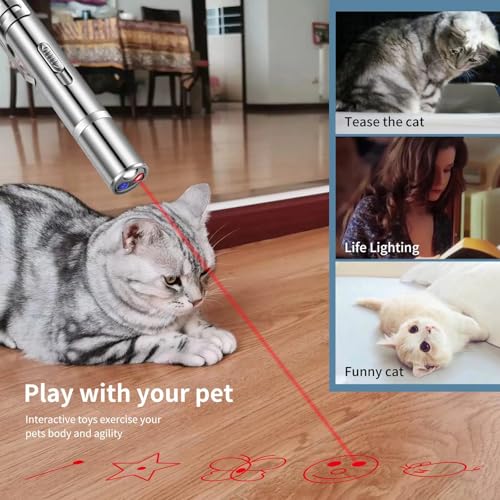 Pet Cat Laser Toy, USB Rechargeable Handheld Pointer, 5 Red Laser Patterns, Suitable Indoor Interaction with Cats or Dogs