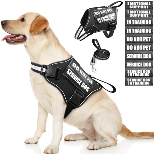 Service Dog Vest Harness and Leash Set+10 Patches,No Pull&Easy Walk Reflective Dog Harness with Soft Padded Handle for Training/Everyday,Fit Small/Medium/Large/Extra-Large Dogs (Black L) - color: Black, size: Large
