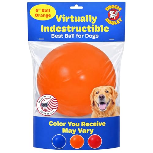 Doggie Dooley Virtually Indestructible Dog Ball - 6 Inch Hard Plastic Interactive Dog Toy for Large Breeds Over 15-50 lbs - Built for Herding & Push Play -Floats in Water, Made in USA -Colors May Vary - color: Assorted, size: Medium (6 inch) (Pack of 1)