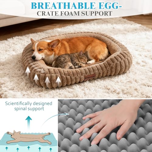 Cute Washable Dog Bed for Small Dogs -Soft Plush Calming Puppy & Cat Bed with Anti-Slip Bottom, Rectangle Anti-Anxiety Puppy Kennel Bed with Handle, 25" x 21" x 4", Brown - color: Brown, size: 25"L x 21"W x 4"Th