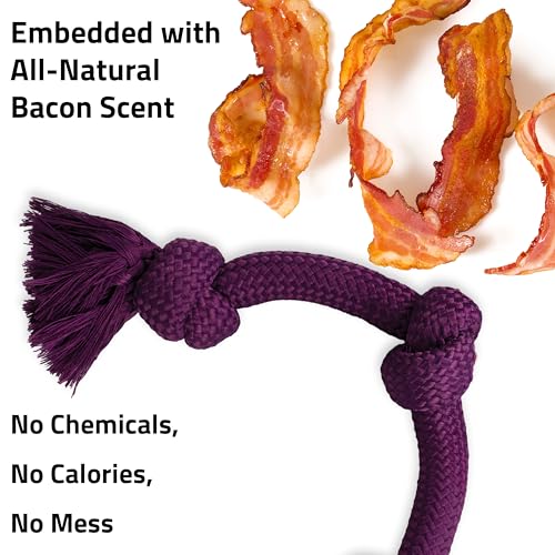 Playology Dog Toys | Dri-Tech Rope Tug of War Dog Toy for Tough Chewers | Bacon Scented Jumbo Tug Rope Toys for Large Dogs - size: Jumbo, style: Bacon