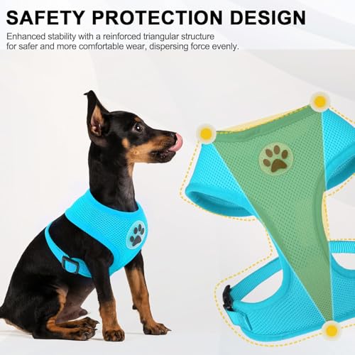BINGPET Small Dog Harness, No Pull Dog Harness Small Sized Dogs, Soft Light Breathable Mesh Puppy Vest with Safety Buckle-Adjustable Step in Pet Harnesses for Easy Walking, Running, Training - color: Royal Blue, size: S (NECK: 12", CHEST: 14"-18")