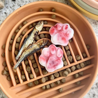 Should We Go? Slow Feeder for Dogs & Puppies, The Slowdown Bowl Silicone Slow Eating Modern Lick Mat Design, Reduces Gulping, Fits 2 Cups 7.5” Across x 1.5” Tall, Mealtime Challenge, Medium-Terracotta - color: Terracotta - Rainbow Design, size: Medium (7.
