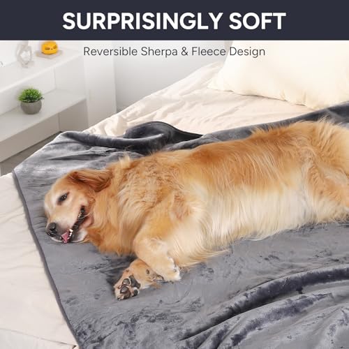 Waterproof Dog Blanket Bed Cover for Bed Couch Sofa, Liquid Pee Proof Pet Blanket Washable, Reversible Sherpa Fleece Blanket Furniture Protector for Medium Large Dogs Cats（Gray, 50"x 60"）