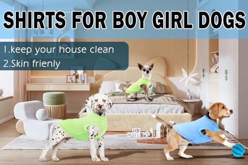 Dog Lightweight Shirts,Cool Dog Summer T-Shirts,Soft Pet Shirt Sleeveless Blank Clothes,Chihuahua Costumes for Puppy Kitty Cats Dogs,2 Pack,XS Blue Green - color: Blank Blue Green, size: X-Small