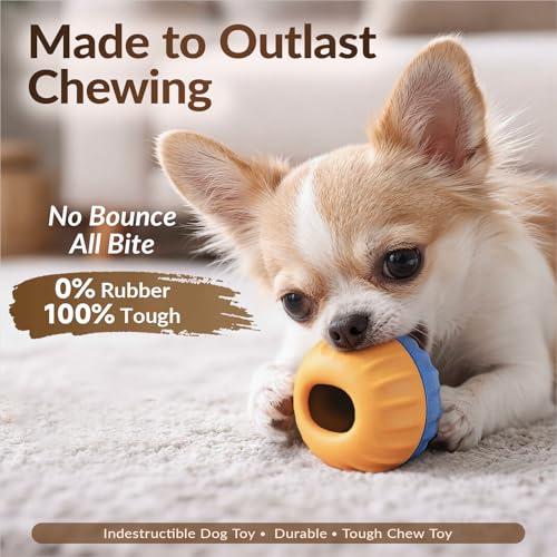 S Size 3-in-1 FrostLick Frozen Treat Ball & Treat Dispensing & Tough Chew Toy, No-Transfer Fill & Freeze Lick Cup, for Puppy Small/Mini/Tiny Dogs and Cats