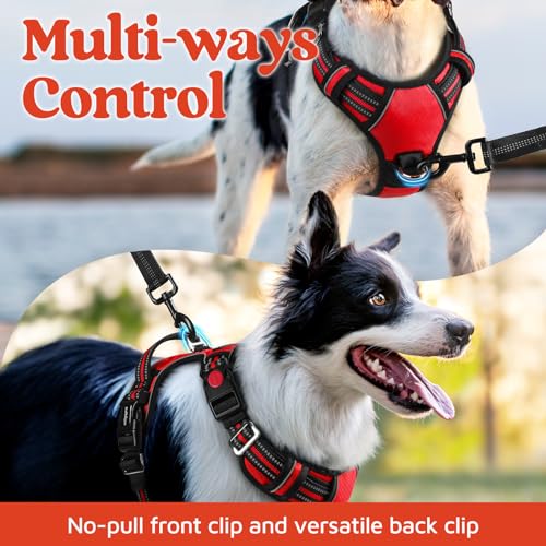 rabbitgoo Dog Harness Small Sized, No Pull Dog Vest with 3 Buckles, Adjustable Soft Padded Pet Harness with Easy Control Handle and Reflective Strips, Red, S - color: Red, size: Small