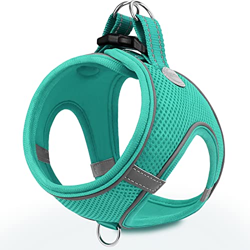 Joytale Small Dog Harness, Breathable Mesh Step-in Vest, Reflective Soft Padded Harnesses for Cats and Puppies Dogs, Teal, XXXS - color: Teal, size: XXXS--Chest: 10.5-12''