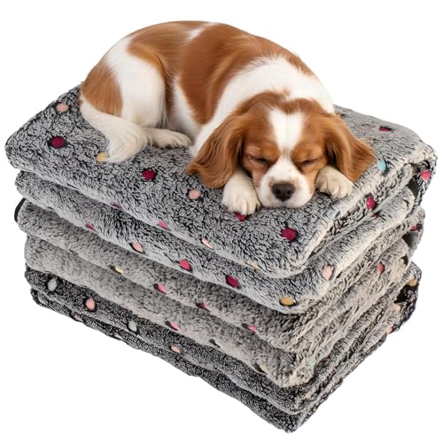 Three Piece Pet Blanket Set for Dogs Cats Soft Comfy Puppy and Kittens Bed Blanket Fluffy Fleece Pets Throw with Cute Patterns (Medium 30x20.5 inch, Gray Dots) - color: Gray Dots, size: Medium-30x20.5 Inch