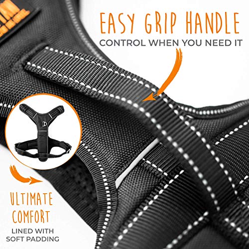 Mighty Paw Sport Harness 2.0 - Padded Canine Accessory - Adjustable Neck and Chest Straps - Enhanced Visibility with Reflective Stitching - Dog Padded Harness with Handle - Large - Black - color: Black