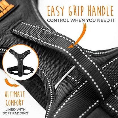 Mighty Paw Sport Harness 2.0 - Padded Canine Accessory - Adjustable Neck and Chest Straps - Enhanced Visibility with Reflective Stitching - Dog Padded Harness with Handle - Large - Black - color: Black