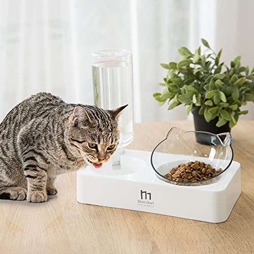 Double Elevated Dog Cat Bowl, Pets Water and Food Bowl Set, 15° Raised Tilted Dishes Indoor for Kitten, Puppies, Small or Medium Size Dogs Cats