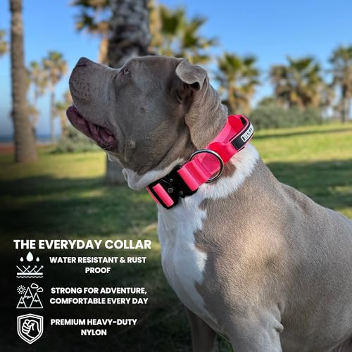 BULLYBREED | Heavy Duty Dog Leash, Tactical Dog Leash, Quick Release Frog Clip with Anti-Tangling Swivel System for Large Dogs that Pull with Soft Double Handles (5 FT Long, Hot Pink) - color: Hot Pink
