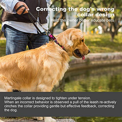 Martingale Collar Dog Collar No Pull Pet Collar Heavy Duty Dog Martingale Collars Silky Soft with Unique Pattern for Small Dog (Small Medium, Black and Sun Flower) - color: Sun Flower - Black, size: Small/Medium: 11"-15.5", 1" Wide