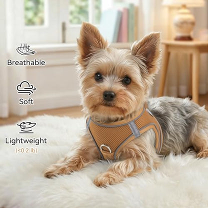 Joytale Small Dog Harness, Breathable Mesh Step-in Vest, Reflective Soft Padded Harnesses for Cats, Puppies and Extra Small Dogs, Brown, XXS - color: Brown, size: XXS--Chest: 12-13.5''