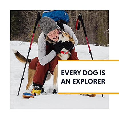 Ruffwear, Confluence Dog Collar, Waterproof Heavy Duty Quick Release Buckle, Odor-Resistant Easy Clean Adjustable TPU Webbing with & Silent ID Attachment, Red Sumac, 20"-26" - color: Red Sumac, size: 20"-26"