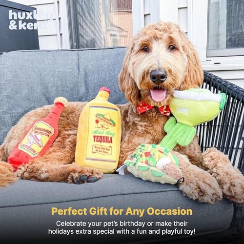 Huxley & Kent Funny Dog Toy w/Squeaker – Power Plush Squeaky Dog Toys for Small, Medium & Large Dogs – Soft Stuffed Animal for Indoor Play & Fetch - Taco Tuesday, Small - size: Small, style: Taco Tuesday