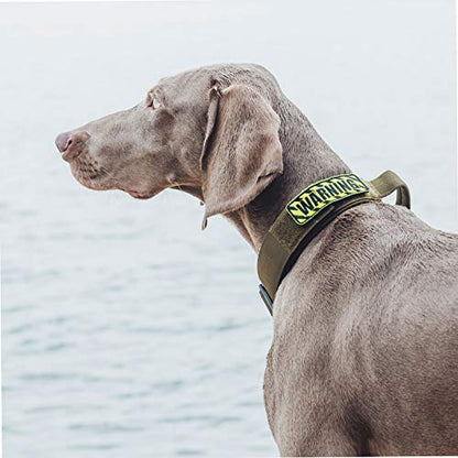 OneTigris Tough Dog Collars, Tactical Dog Collar with Handle, Milltary Adjustable Dog Collar with Heavy Duty Metal Buckle for Training (Medium (Pack of 1), Green) - color: Green, size: Medium