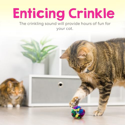 Crinkle Cat Toy Balls 50 Pack | Soft Cat Crinkle Toys for Indoor Cats & Kittens | Food-Grade Acetate Safer Than Mylar | Made in Canada - style: 50 Pack