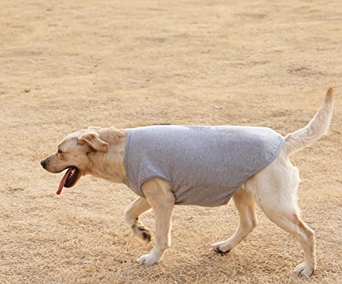 Dog Blank Shirts,Summer Clothes for Small Medium Puppy French Bulldog,Dogs Girl Boy Summer Sun Cotton Tee Shirt,Black Grey M - color: Blank Black Grey, size: Medium