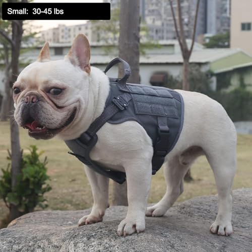 ICEFANG Tactical Dog Harness, Small Size,2X Metal Buckle,Working Dog MOLLE Vest with Handle,No Pulling Front Leash Clip,Hook and Loop Panel (Grey,S (Pack of 1)) - color: Grey, size: Small (Pack of 1)