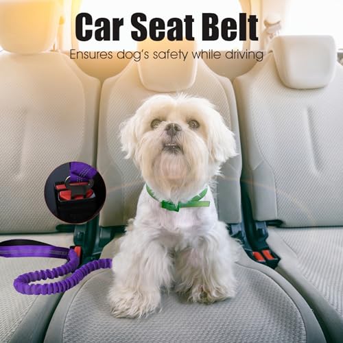 BUMBIN 6Ft Dog Leash - Large Dogs, Bungee Leash with 2 Handles, Heavy Duty, No Pull Shock Absorbing, Purple - color: Purple