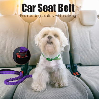 BUMBIN 6Ft Dog Leash - Large Dogs, Bungee Leash with 2 Handles, Heavy Duty, No Pull Shock Absorbing, Purple - color: Purple